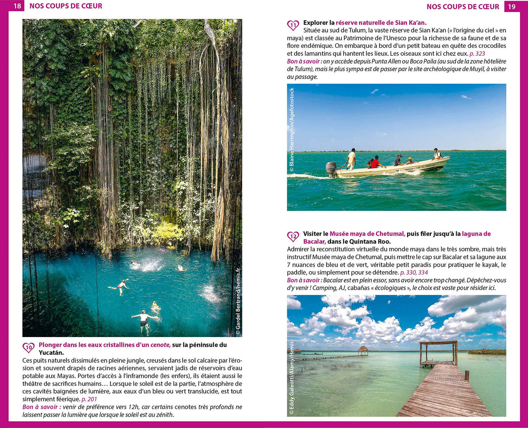 Guide du Routard - Mexique 2020 | Hachette guide de voyage Hachette 