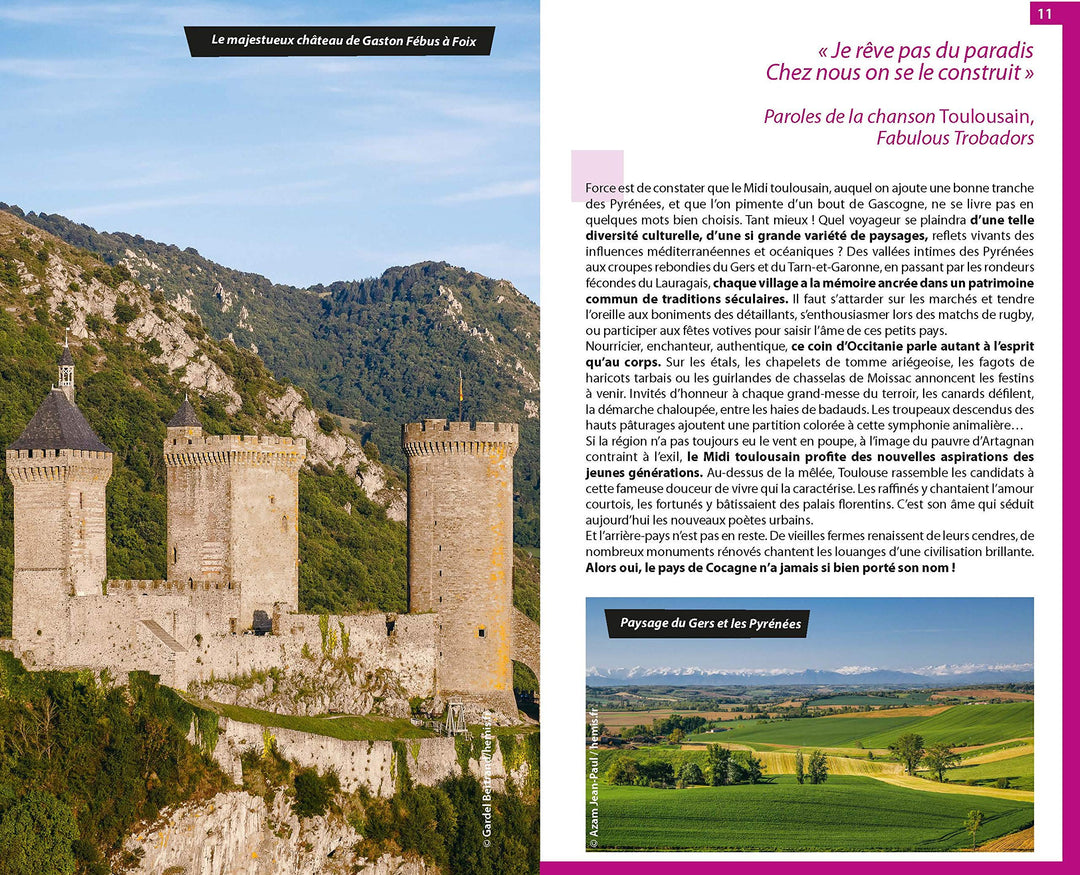 Guide du Routard - Midi Toulousain, Pyrénées, Gascogne 2021/22 | Hachette guide de voyage Hachette 