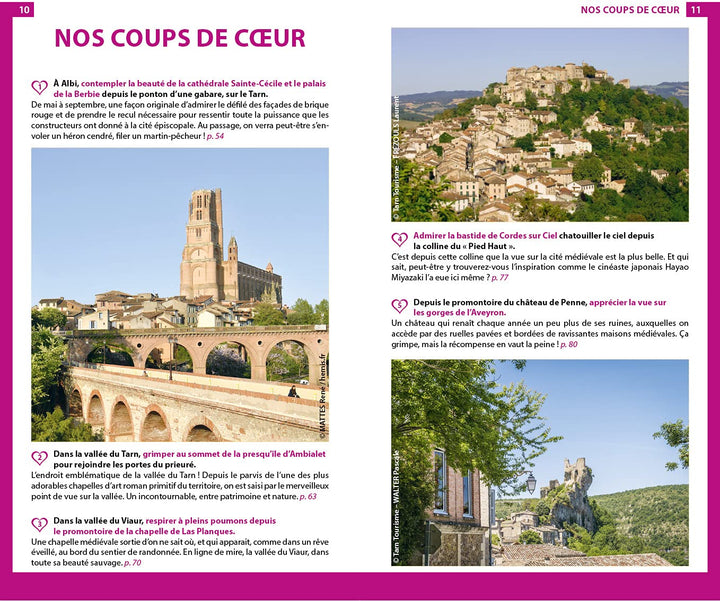 Guide du Routard - Tarn : nature et patrimoine - Édition 2021 | Hachette guide de voyage Hachette 