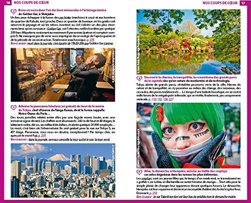 Guide du Routard - Tokyo, Kyoto et environs 2020 | Hachette guide de voyage Hachette 