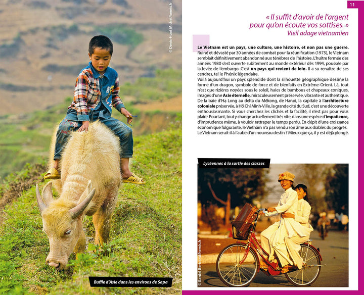 Guide du Routard - Vietnam 2020 | Hachette guide de voyage Hachette 