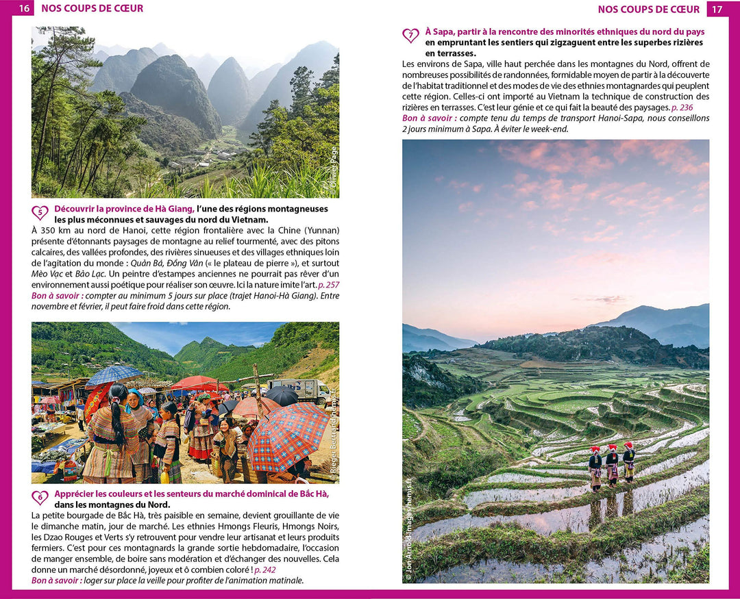 Guide du Routard - Vietnam 2020 | Hachette guide de voyage Hachette 