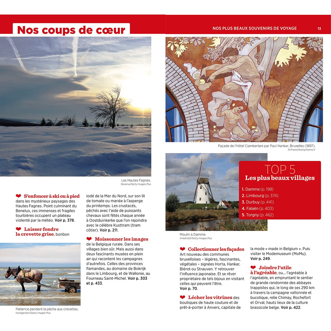 Guide Vert - Belgique - Édition 2023 | Michelin guide de voyage Michelin 