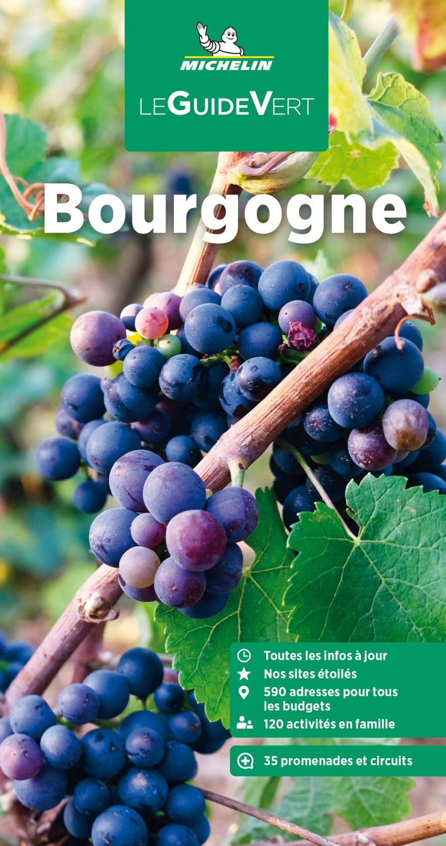 Guide Vert - Bourgogne - Édition 2023 | Michelin guide de voyage Michelin 